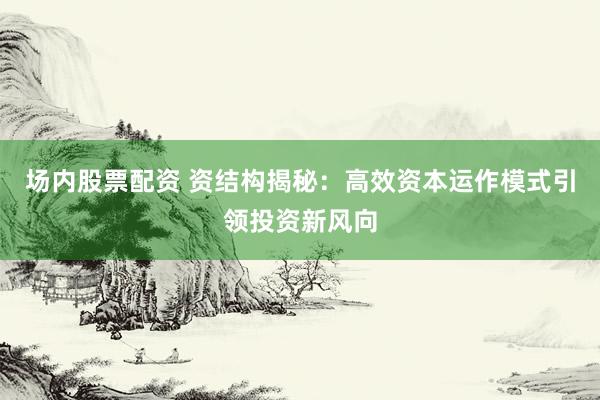场内股票配资 资结构揭秘：高效资本运作模式引领投资新风向