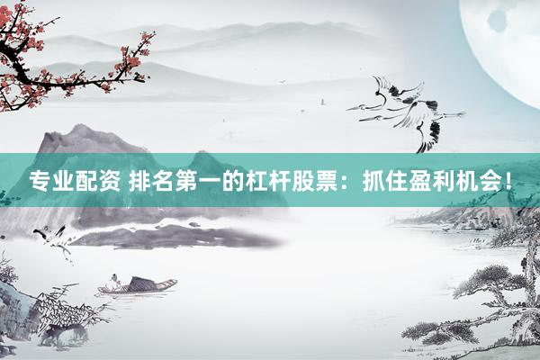 专业配资 排名第一的杠杆股票：抓住盈利机会！