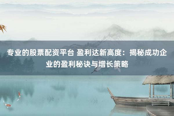 专业的股票配资平台 盈利达新高度：揭秘成功企业的盈利秘诀与增长策略