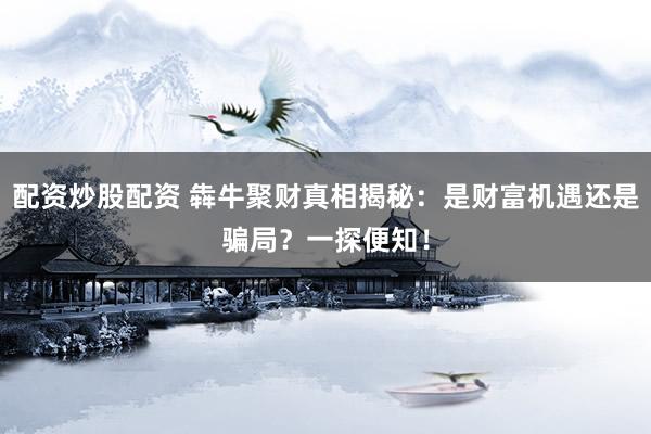 配资炒股配资 犇牛聚财真相揭秘：是财富机遇还是骗局？一探便知！