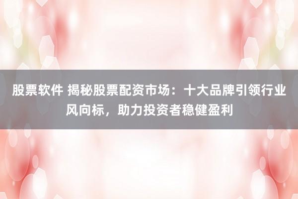 股票软件 揭秘股票配资市场：十大品牌引领行业风向标，助力投资者稳健盈利