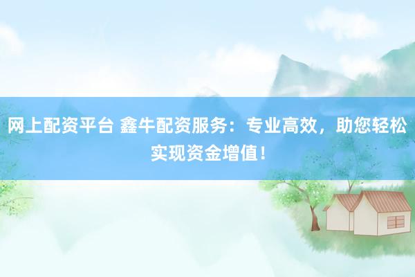 网上配资平台 鑫牛配资服务：专业高效，助您轻松实现资金增值！