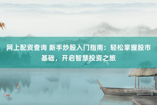 网上配资查询 新手炒股入门指南：轻松掌握股市基础，开启智慧投资之旅