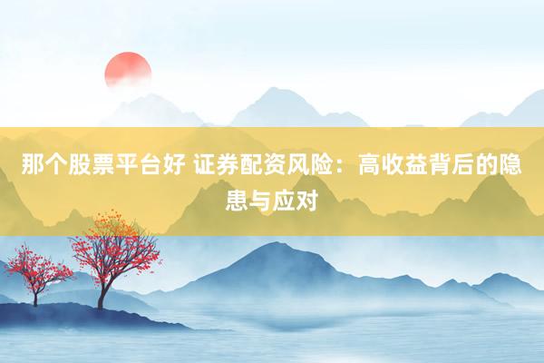 那个股票平台好 证券配资风险：高收益背后的隐患与应对