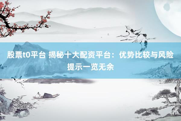 股票t0平台 揭秘十大配资平台：优势比较与风险提示一览无余