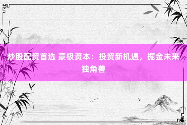 炒股配资首选 豪极资本：投资新机遇，掘金未来独角兽