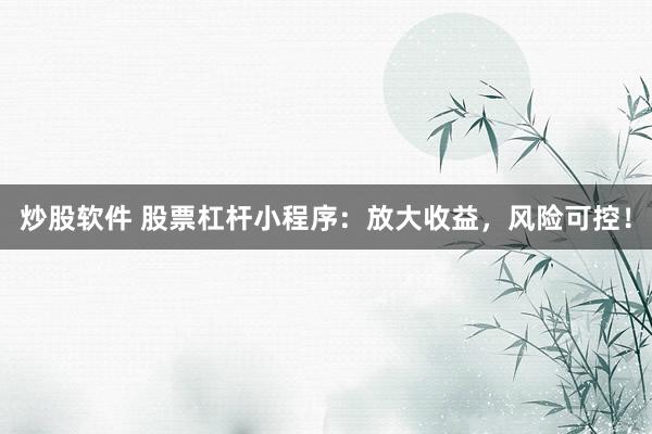 炒股软件 股票杠杆小程序：放大收益，风险可控！
