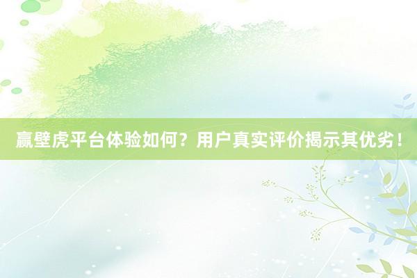 赢壁虎平台体验如何？用户真实评价揭示其优劣！