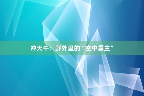 冲天牛：野外里的“空中霸主”