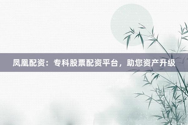 凤凰配资：专科股票配资平台，助您资产升级