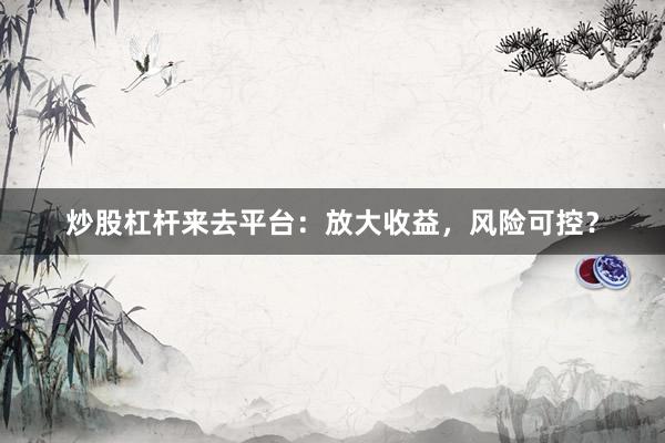 炒股杠杆来去平台：放大收益，风险可控？