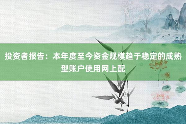 投资者报告：本年度至今资金规模趋于稳定的成熟型账户使用网上配