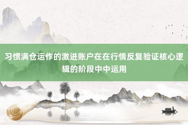 习惯满仓运作的激进账户在在行情反复验证核心逻辑的阶段中中运用