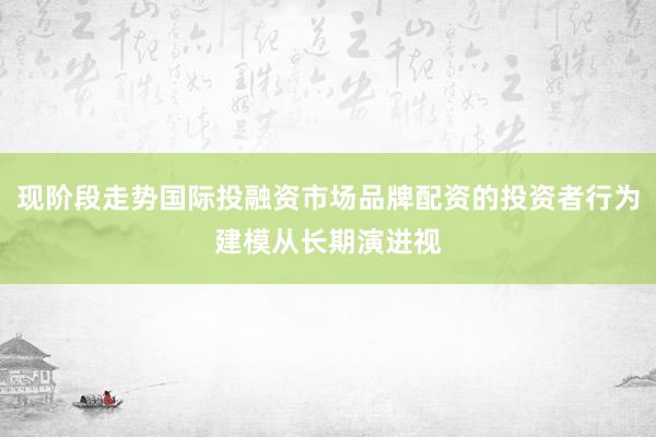 现阶段走势国际投融资市场品牌配资的投资者行为建模从长期演进视