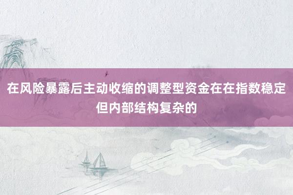 在风险暴露后主动收缩的调整型资金在在指数稳定但内部结构复杂的