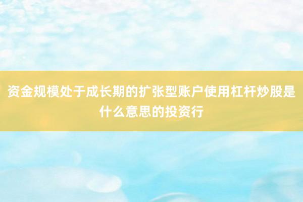 资金规模处于成长期的扩张型账户使用杠杆炒股是什么意思的投资行