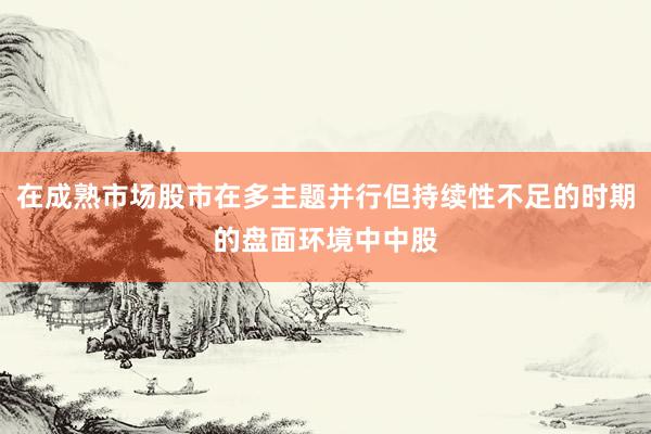 在成熟市场股市在多主题并行但持续性不足的时期的盘面环境中中股