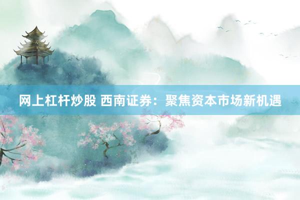 网上杠杆炒股 西南证券：聚焦资本市场新机遇