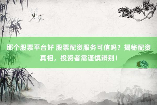 那个股票平台好 股票配资服务可信吗？揭秘配资真相，投资者需谨慎辨别！
