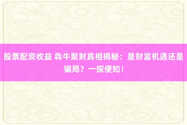 股票配资收益 犇牛聚财真相揭秘：是财富机遇还是骗局？一探便知！