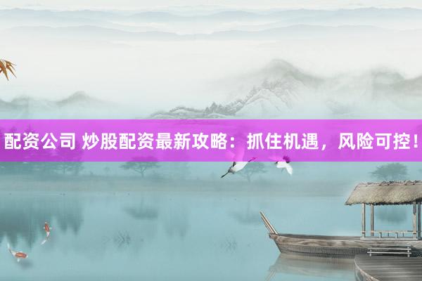 配资公司 炒股配资最新攻略:抓住机遇,风险可控!