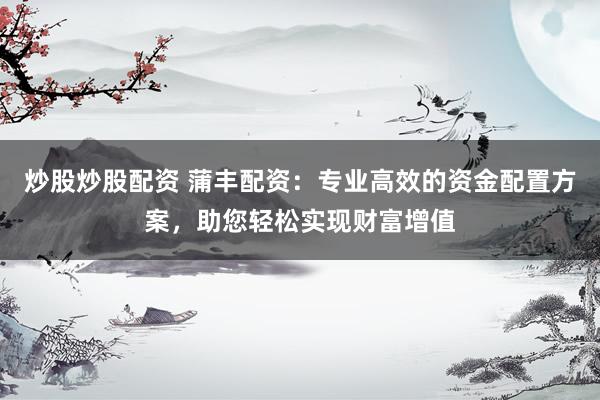 炒股炒股配资 蒲丰配资：专业高效的资金配置方案，助您轻松实现财富增值
