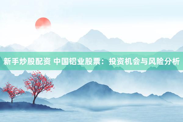 新手炒股配资 中国铝业股票：投资机会与风险分析