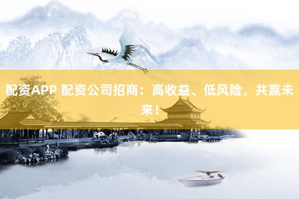 配资APP 配资公司招商：高收益、低风险，共赢未来！