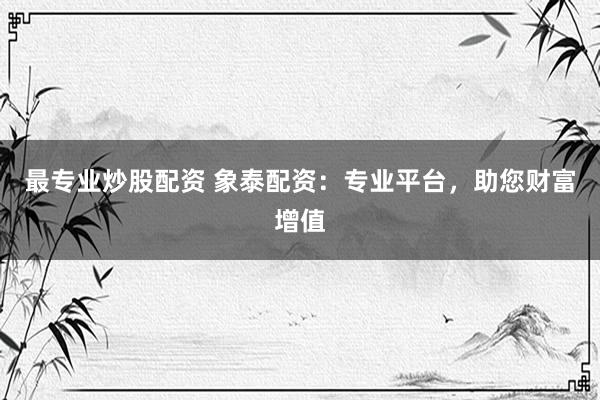 最专业炒股配资 象泰配资:专业平台,助您财富增值