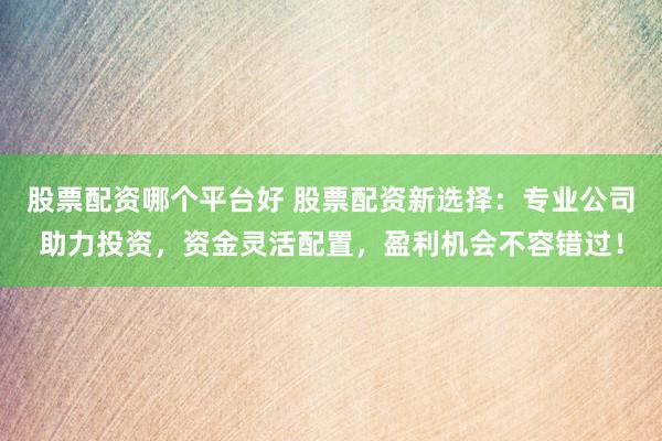 股票配资哪个平台好 股票配资新选择：专业公司助力投资，资金灵活配置，盈利机会不容错过！